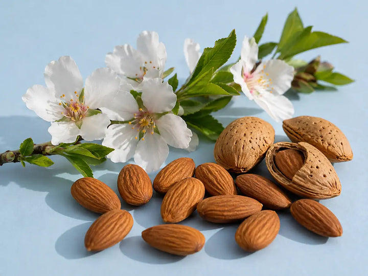 Whole almonds, cracked shells and white almond blossoms on a light pale blue background