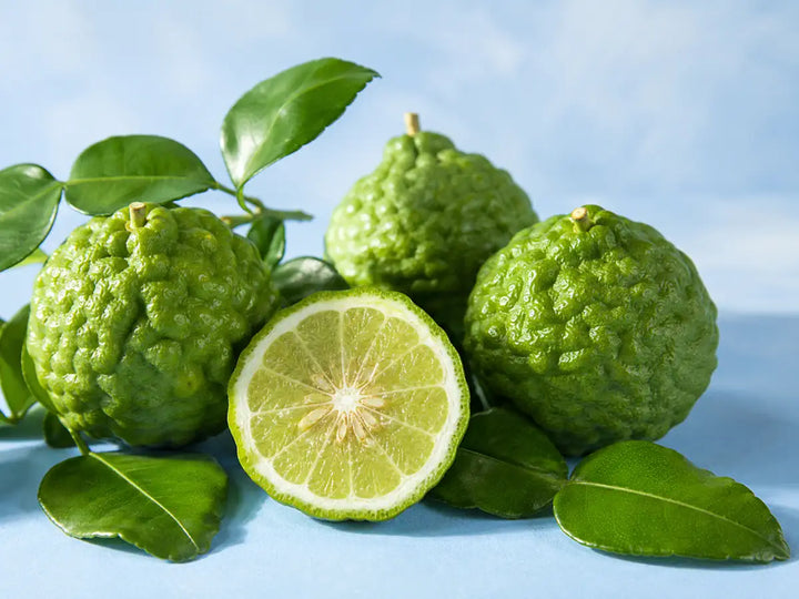 Fresh bergamot oranges with glossy green leaves