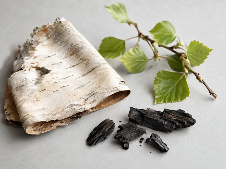 Pale birch bark, green leaves and charred wood representing the smoky birch note in perfume