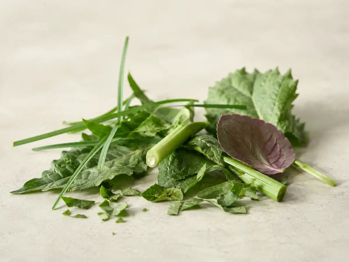 Crushed leaves, snapped green stems, cut grass and a violet leaf representing green notes in perfumery