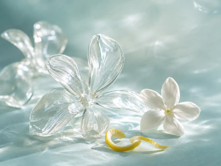 Translucent petals, jasmine and lemon peel representing the airy floral character of Hedione