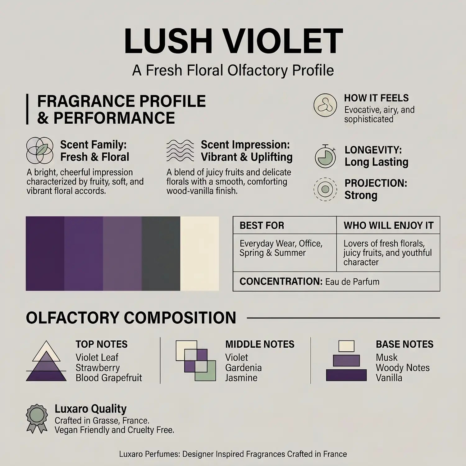 Lush Violet is a Marc Jacobs Daisy dupe perfume by Luxaro, made in France fragrance infographic showing scent profile, key notes, performance and fragrance family