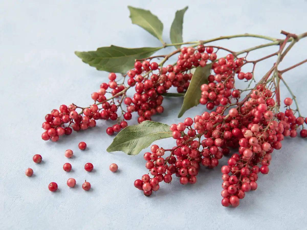 Pink peppercorn clusters, loose berries and green leaves on a light mist-blue background