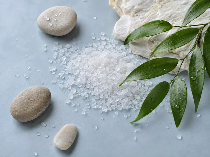 Salt crystals, coastal leaves and mineral stones representing sea salt in perfume