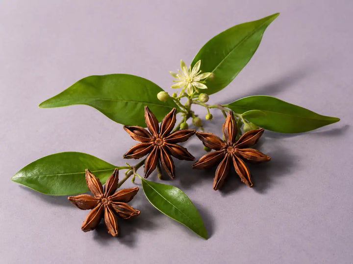 Whole star-anise fruits with green leaves on a light dusty lilac background