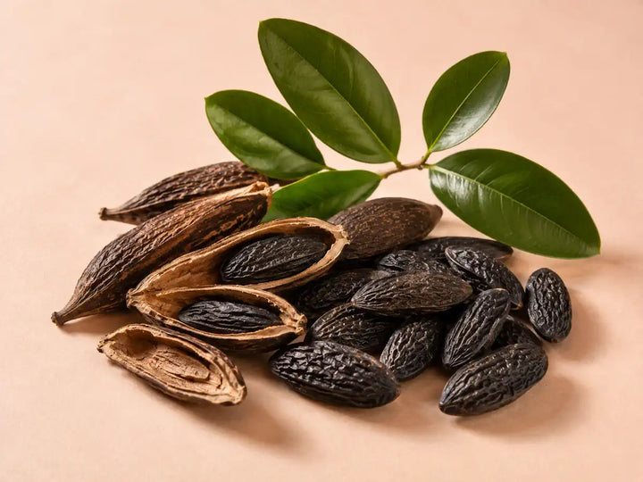 Natural tonka beans with open seed pods and green leaves