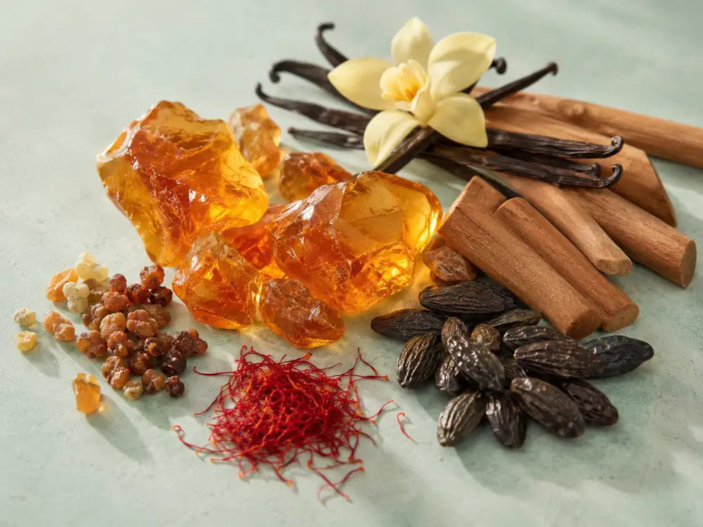 Amber resin, vanilla, sandalwood, tonka, saffron, myrrh and benzoin representing the Warm & Ambery fragrance family