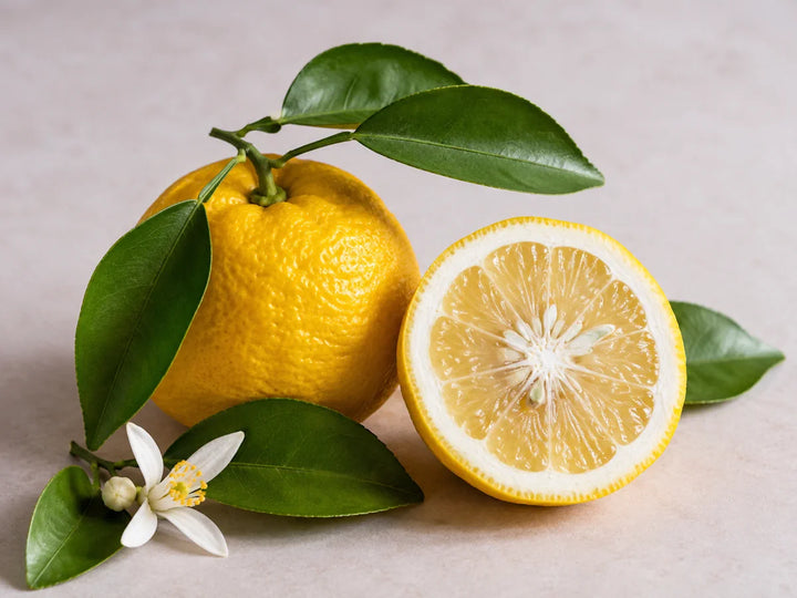 Yellow yuzu fruits with textured peel, green leaves and a white citrus flower on a pale blush-grey background