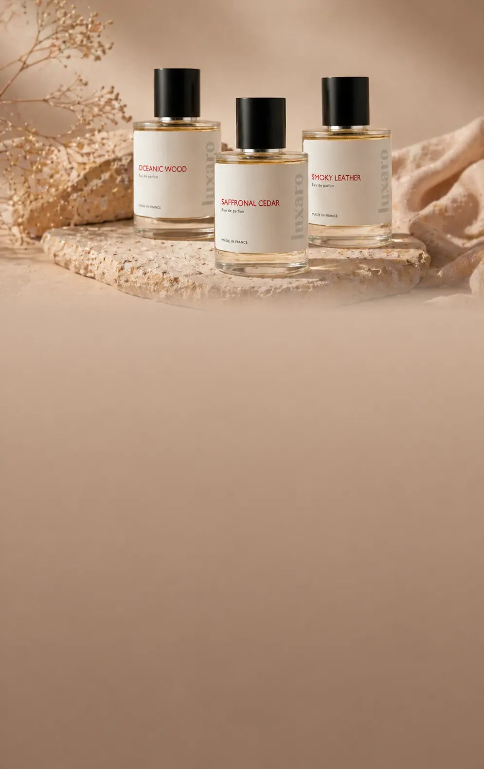 Three luxury perfume bottles at the top, one raised on a marble block, with a smooth warm brown gradient background below