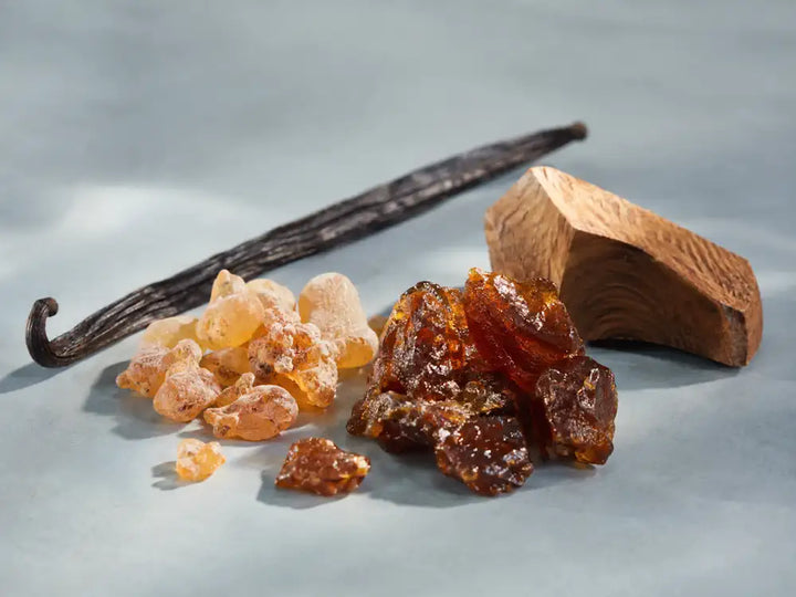 Labdanum resin, benzoin, vanilla and amberwood representing an amber accord in perfume