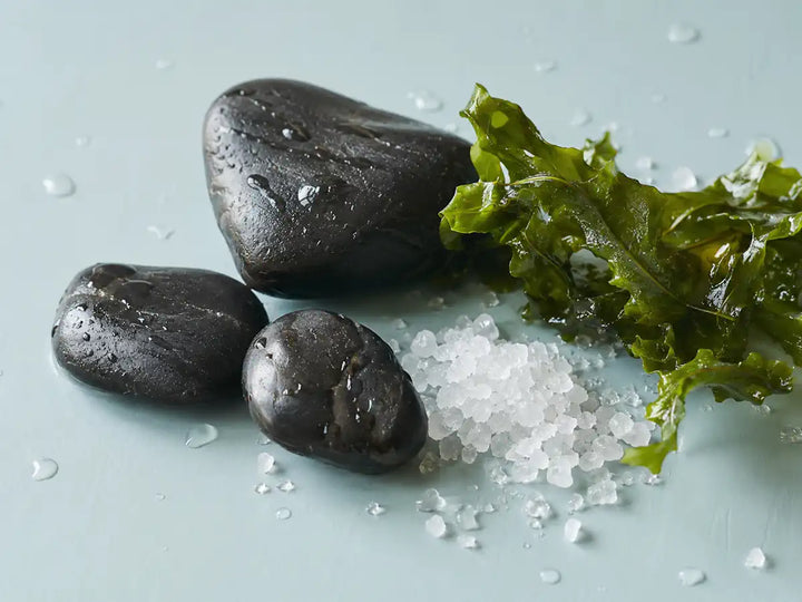 Wet flint stones, sea salt crystals and green seaweed on a pale seafoam blue background