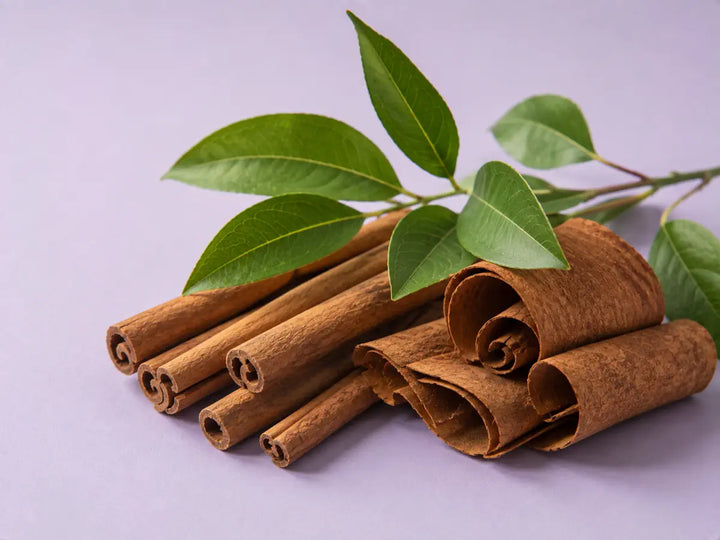 Cinnamon sticks, curled bark and green cinnamon leaves on a light pale lilac background