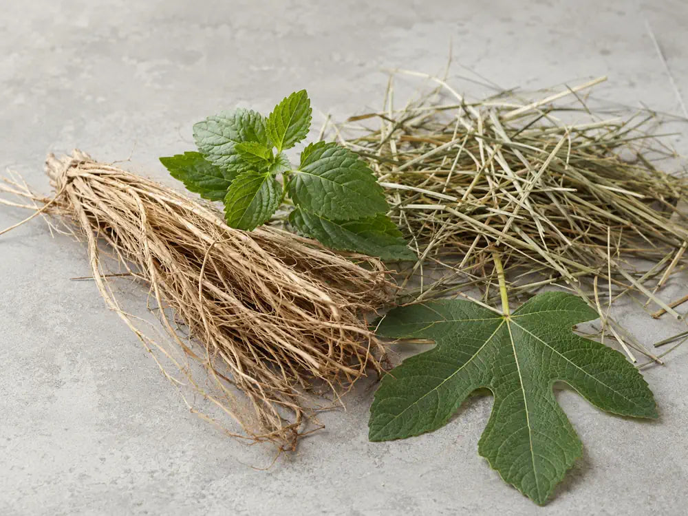 Vetiver roots, patchouli leaves, dry hay and a fig leaf representing an earthy accord in perfume