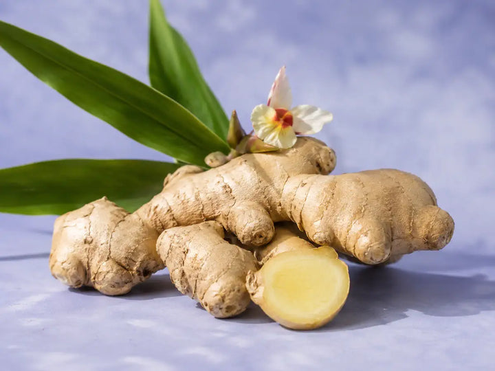 Fresh ginger roots, one sliced, with green leaves on a pale lavender-blue background