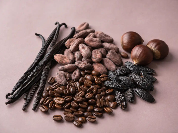 Vanilla pods, cacao, coffee, tonka beans and chestnuts on a pale muted mauve background