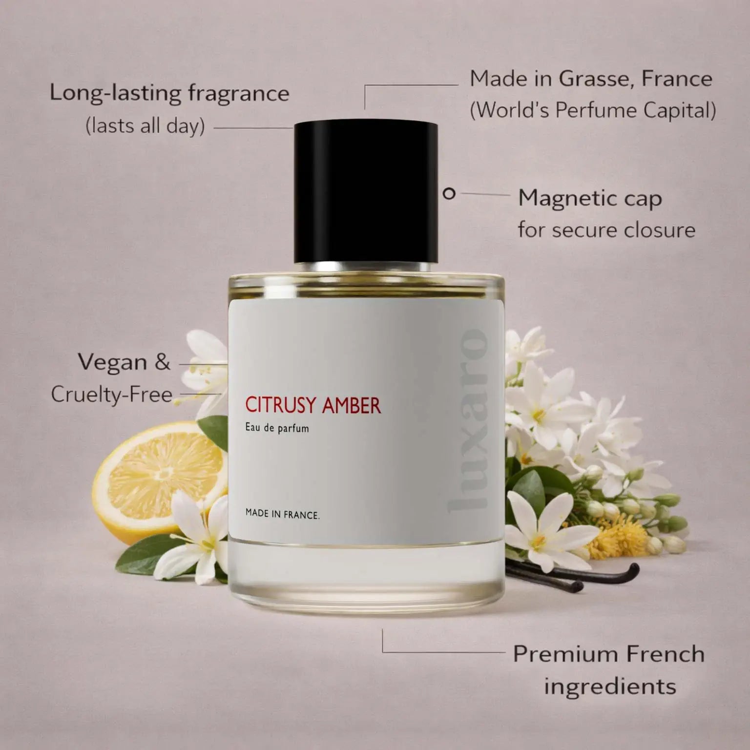 Citrusy Amber designer inspired perfume by Luxaro, made in France in Grasse, long lasting, vegan and cruelty free