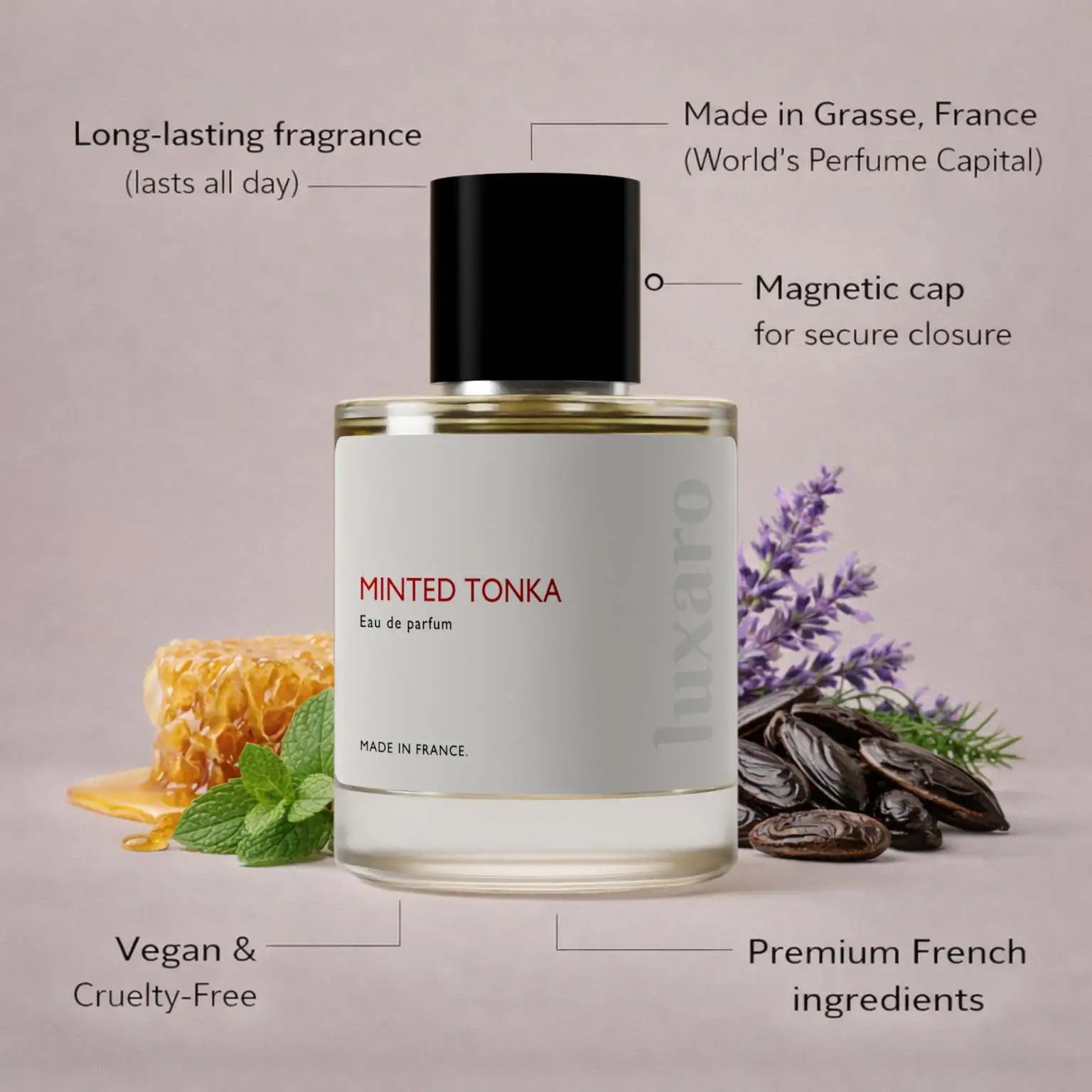 Minted Tonka designer inspired perfume by Luxaro, made in France in Grasse, long lasting, vegan and cruelty free