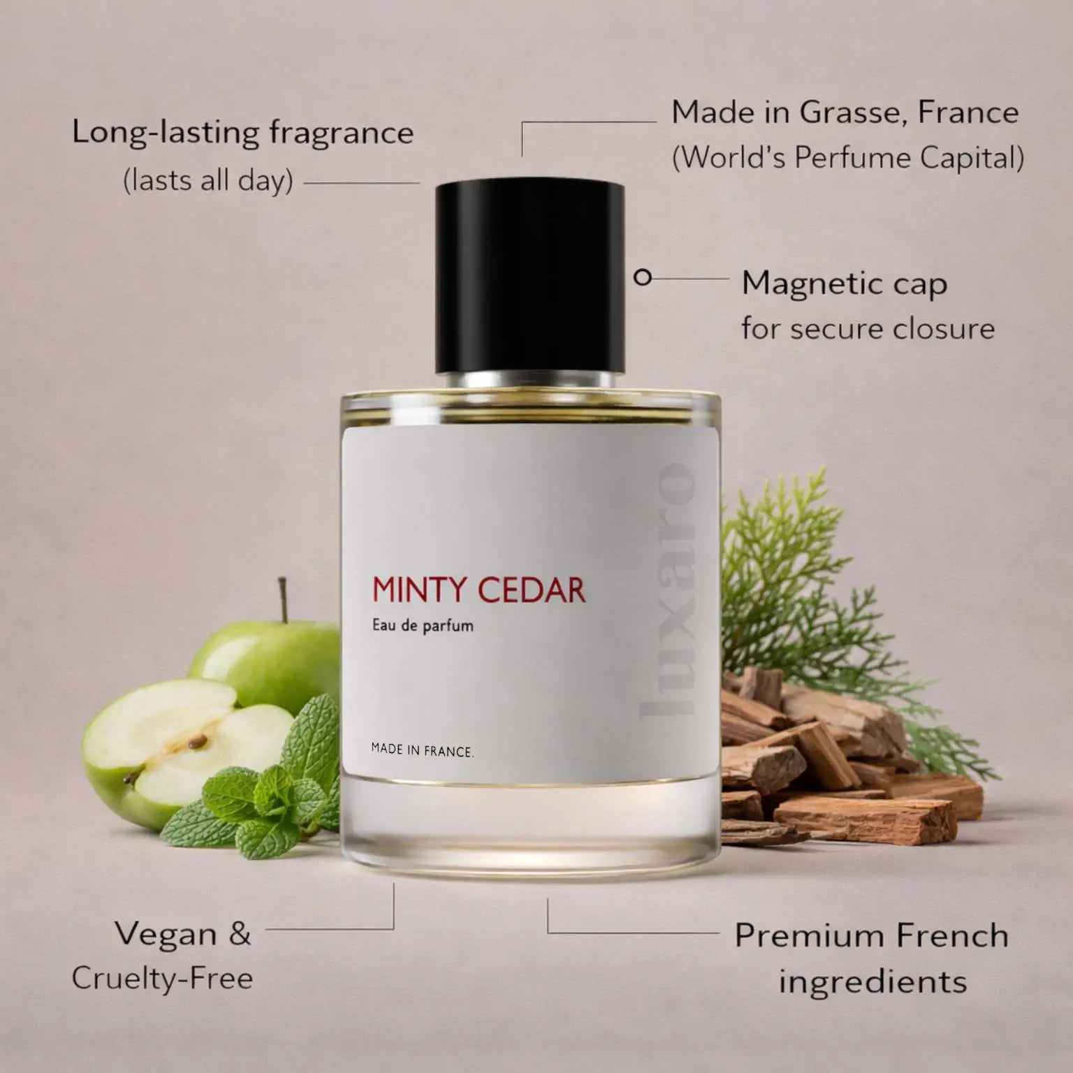 Minty Cedar designer inspired perfume by Luxaro, made in France in Grasse, long lasting, vegan and cruelty free