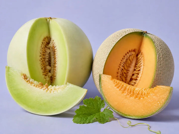Sliced honeydew melon and cantaloupe with a green leaf and vine on a soft lavender-blue background